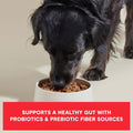 Open Farm Dog Food – 18 lb – Beef & Superfoods High Protein · Probiotics & Bone Broth Infused
