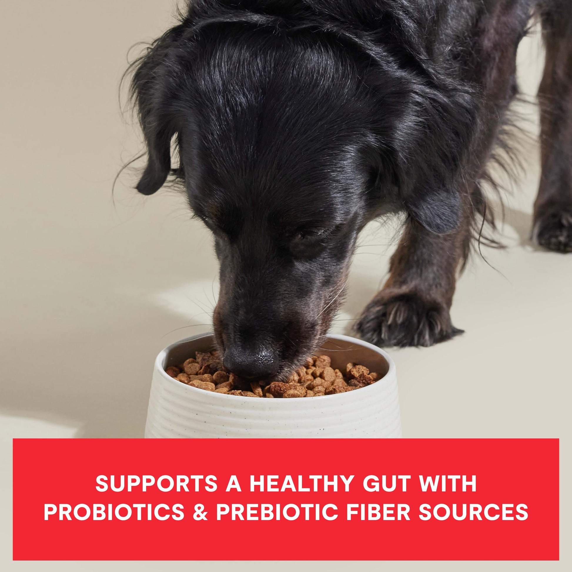 Open Farm Dog Food – 18 lb – Beef & Superfoods High Protein · Probiotics & Bone Broth Infused