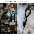 Made to ROAM Explorer Dog Collar – Heavy-Duty Nylon with Handle & Metal Buckle (Size 4, Afterlight)