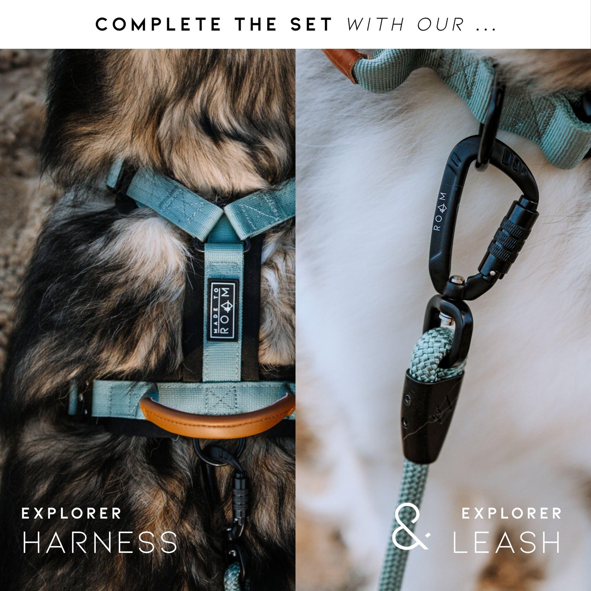 Made to ROAM Explorer Dog Collar – Heavy-Duty Nylon with Handle & Metal Buckle (Size 4, Afterlight)