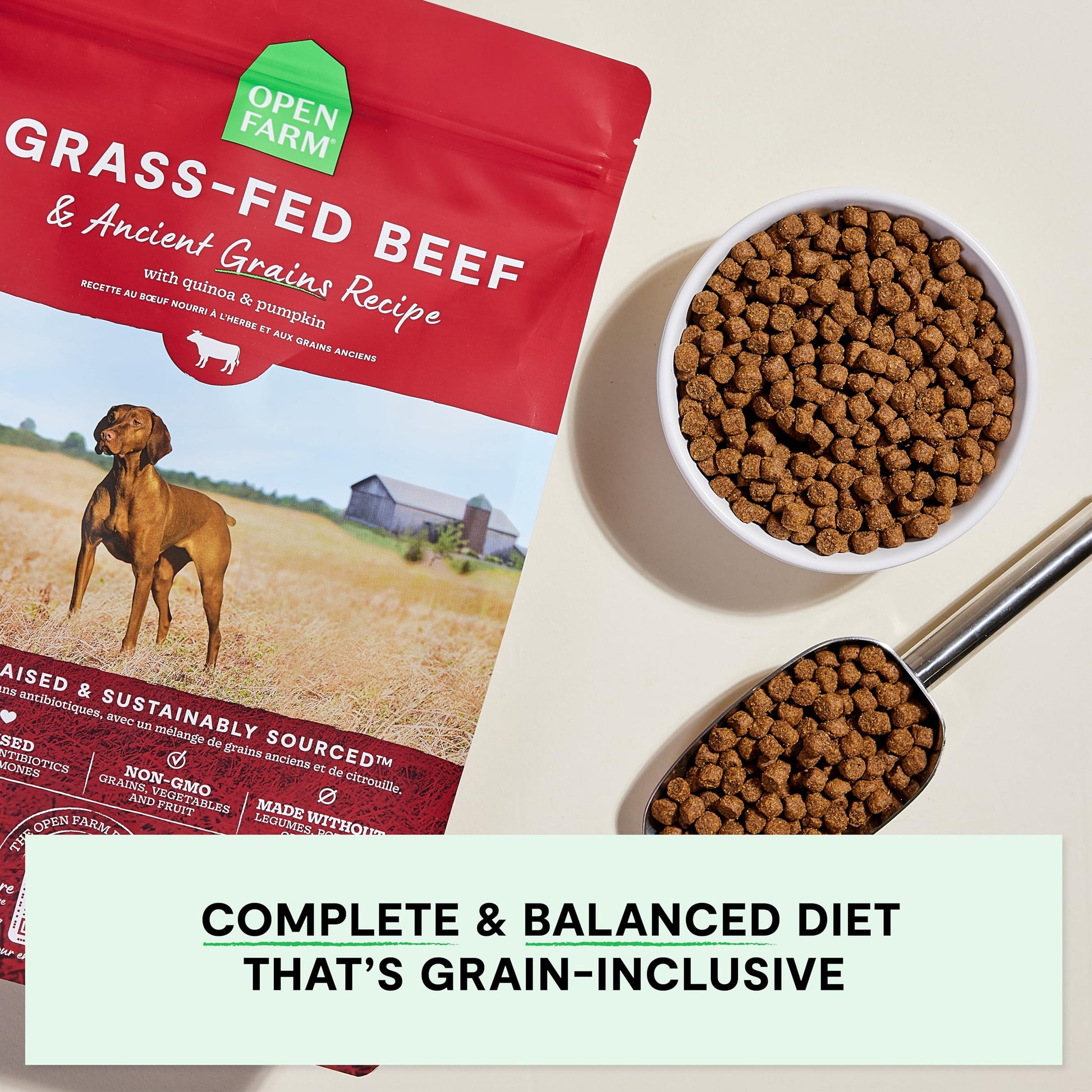 Open Farm Dog Food – 11 lb – Grass-Fed Beef & Grains 90% Animal Protein · Non-GMO Superfoods