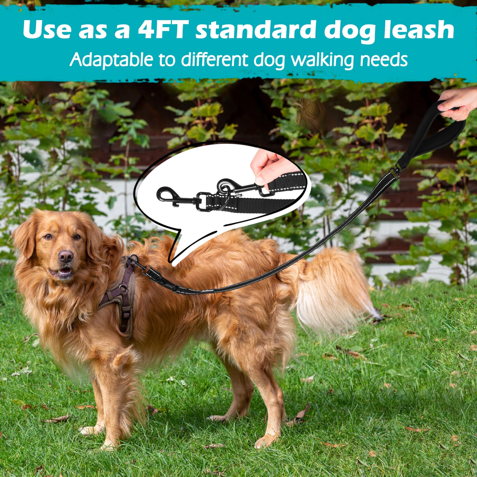 PetBonus Two-Point Control Dog Leash – No-Tangle Reflective Lead for Medium & Large Dogs (Black)