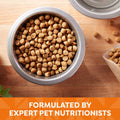 Nature′s Recipe Chicken, Barley & Brown Rice Recipe Dry Dog Food, 24 lb. Bag