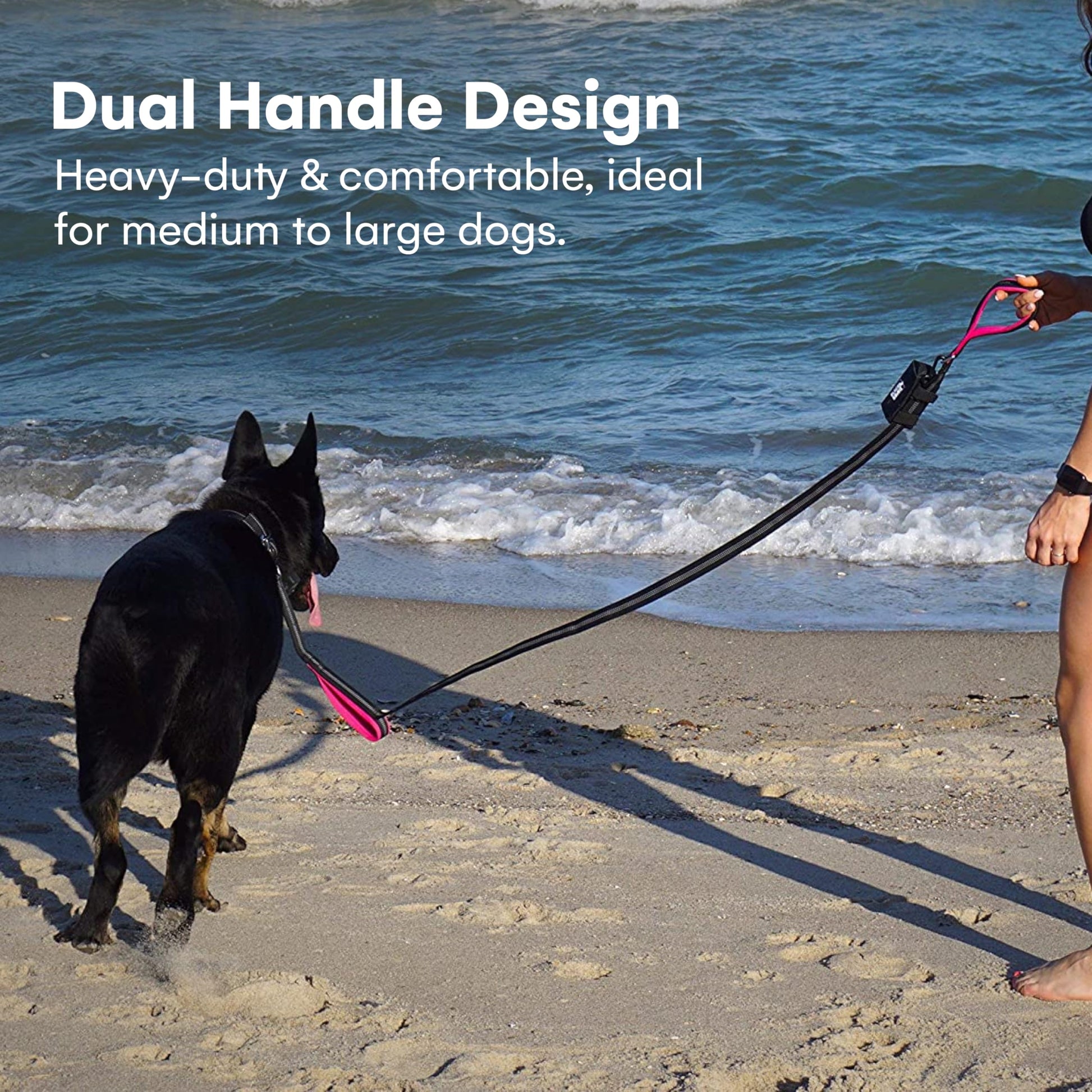 Black Rhino Heavy-Duty Dog Leash – 6ft Double Handle Lead with Padded Traffic Grip (Pink)