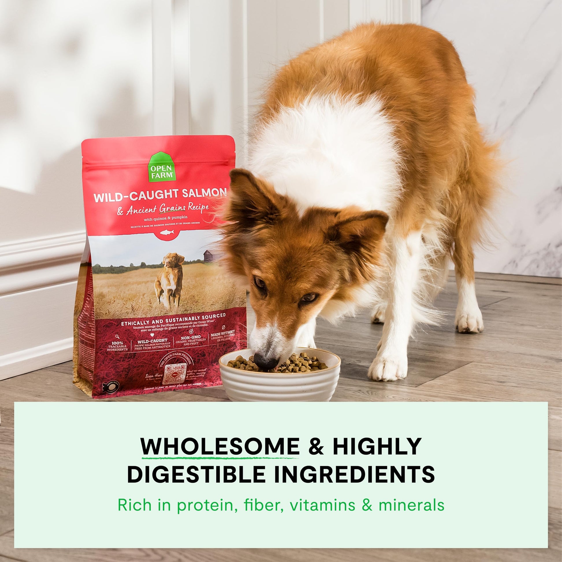 Open Farm Dog Food – 11 lb – Grass-Fed Beef & Grains 90% Animal Protein · Non-GMO Superfoods