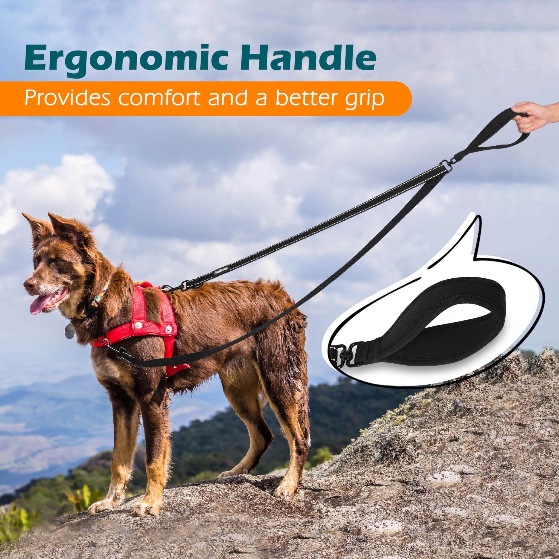 PetBonus Two-Point Control Dog Leash – No-Tangle Reflective Lead for Medium & Large Dogs (Black)