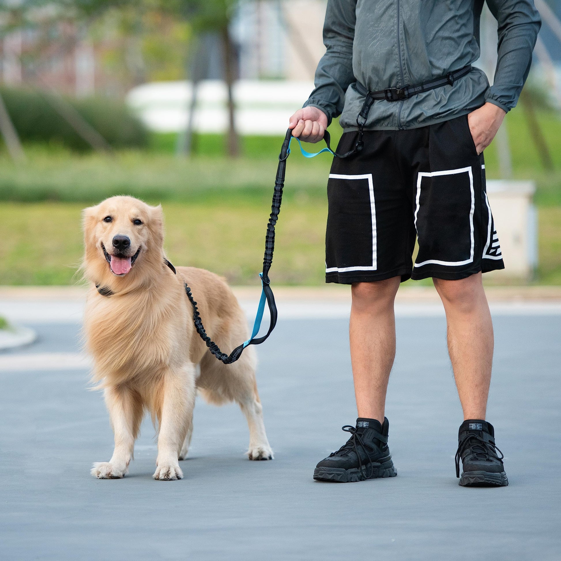 iYoShop Hands-Free Dog Leash – Bungee Lead with Zipper Pouch & Dual Padded Handles (Black, Large 25–120 lbs)
