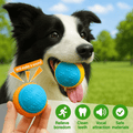 🎾 A Classic That Never Fails — Tennis Balls Made Just for Your Dog - Fenidog