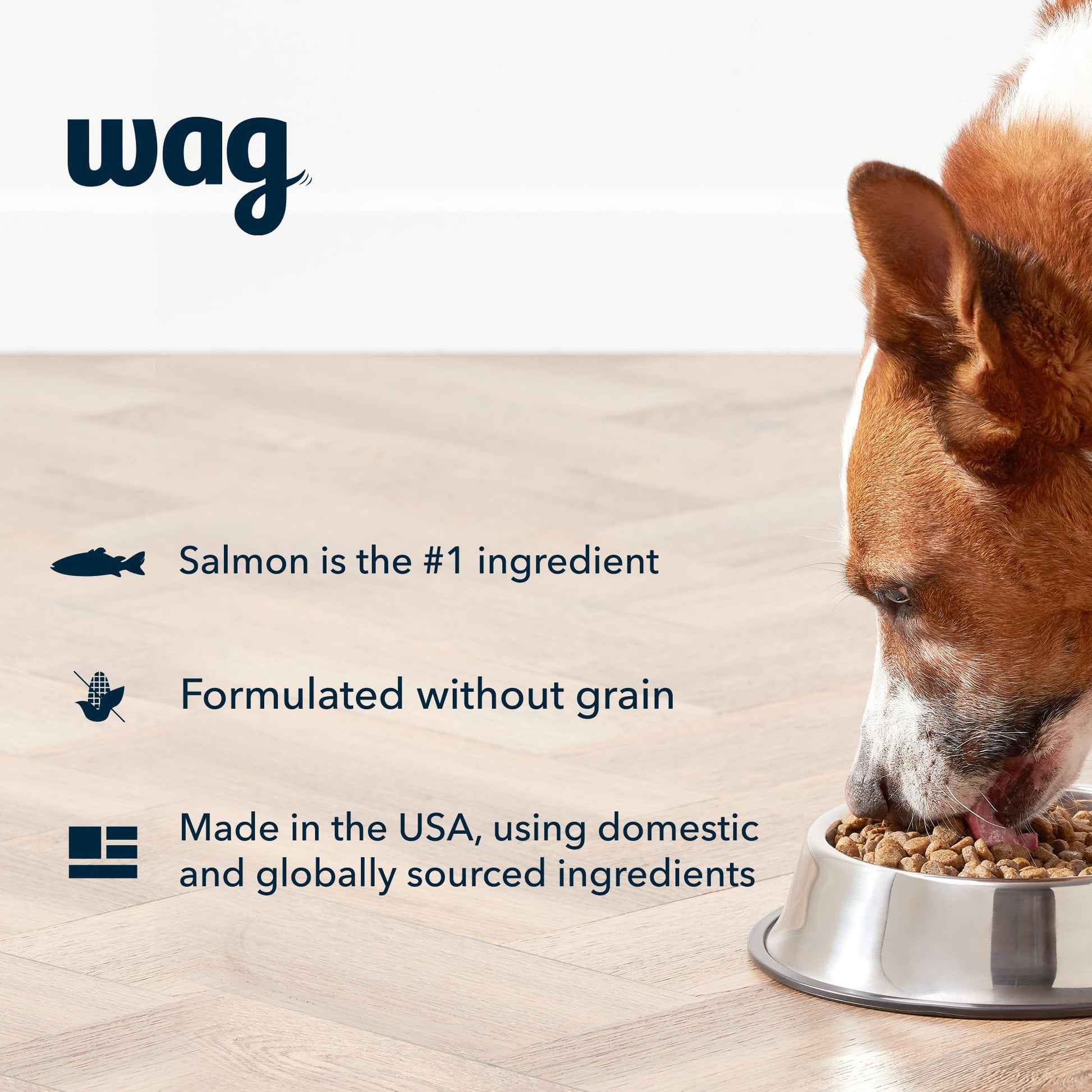 Amazon Brand - Wag Dry Dog Food Salmon & Sweet Potato, Grain Free 24 lb Bag - Fenidog