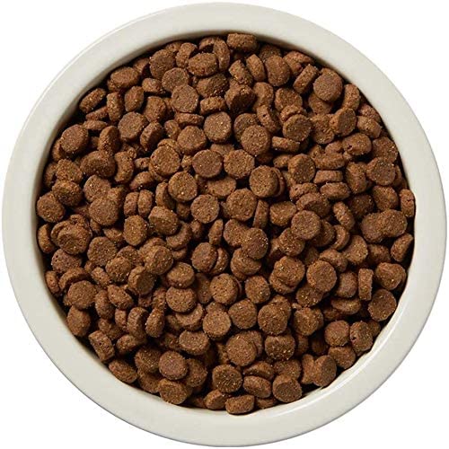 Amazon Brand - Wag Dry Dog Food Salmon & Sweet Potato, Grain Free 24 lb Bag - Fenidog