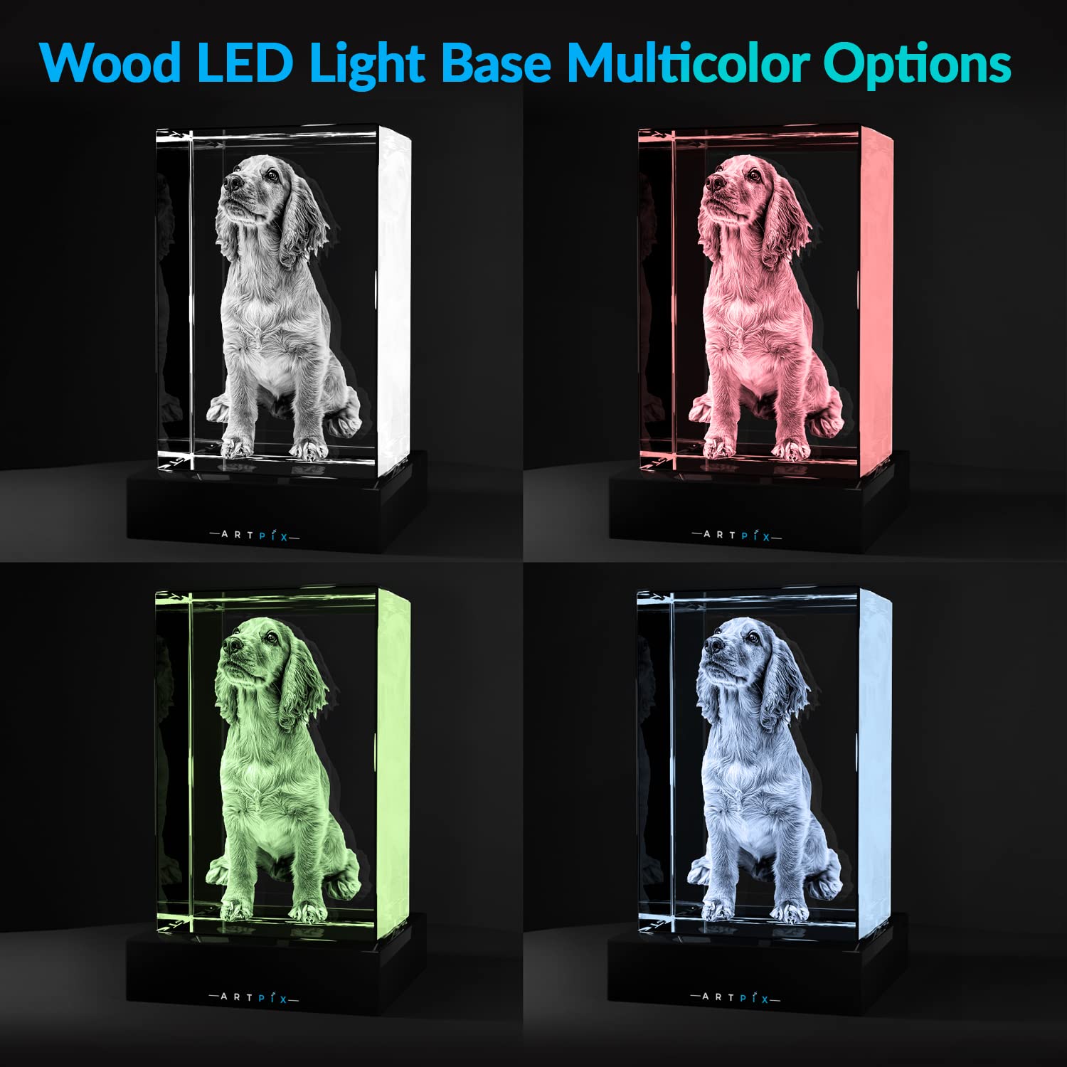ArtPix 3D Crystal Photo – Personalized Dog Memorial Gift with Custom Laser Engraving - Fenidog
