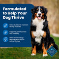 Blue Buffalo Dog Food – 30 lb – Chicken & Brown Rice Supports Strong Muscles · Natural Ingredients - Fenidog