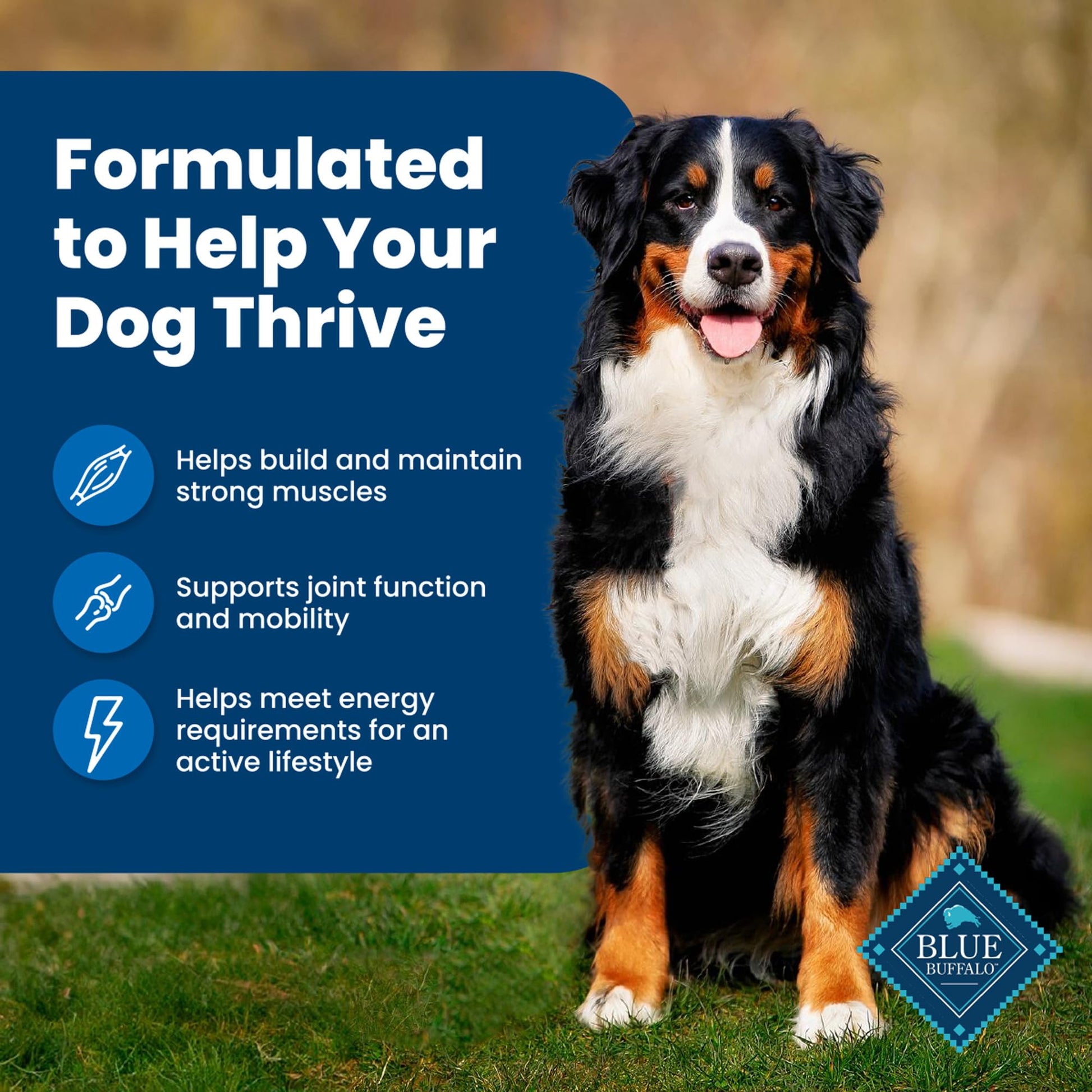 Blue Buffalo Dog Food – 30 lb – Chicken & Brown Rice Supports Strong Muscles · Natural Ingredients - Fenidog