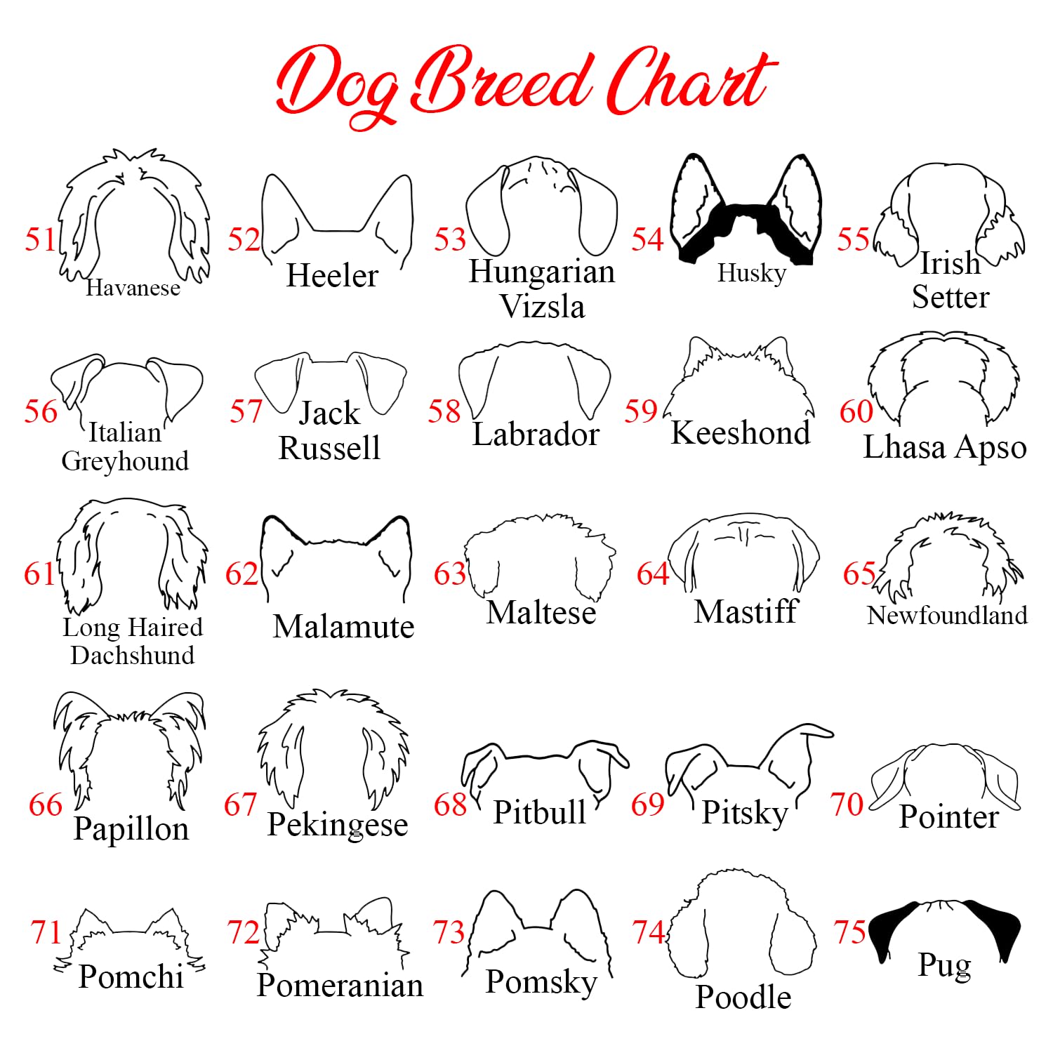 Custom Embroidered Dog Sweatshirt – Personalized Name Gift for Dog Moms & Dads - Fenidog