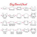 Custom Embroidered Dog Sweatshirt – Personalized Name Gift for Dog Moms & Dads - Fenidog