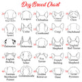 Custom Embroidered Dog Sweatshirt – Personalized Name Gift for Dog Moms & Dads - Fenidog