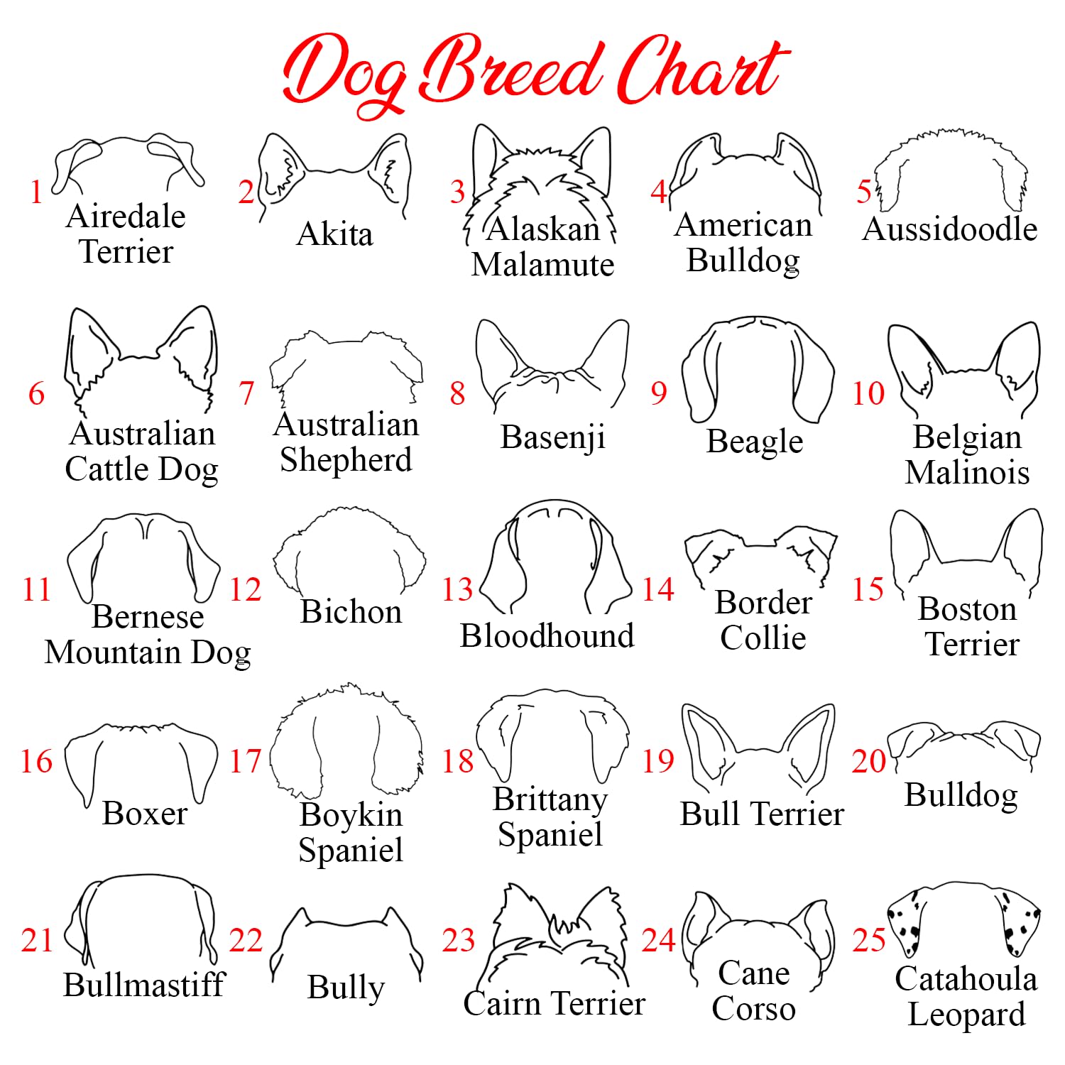 Custom Embroidered Dog Sweatshirt – Personalized Name Gift for Dog Moms & Dads - Fenidog