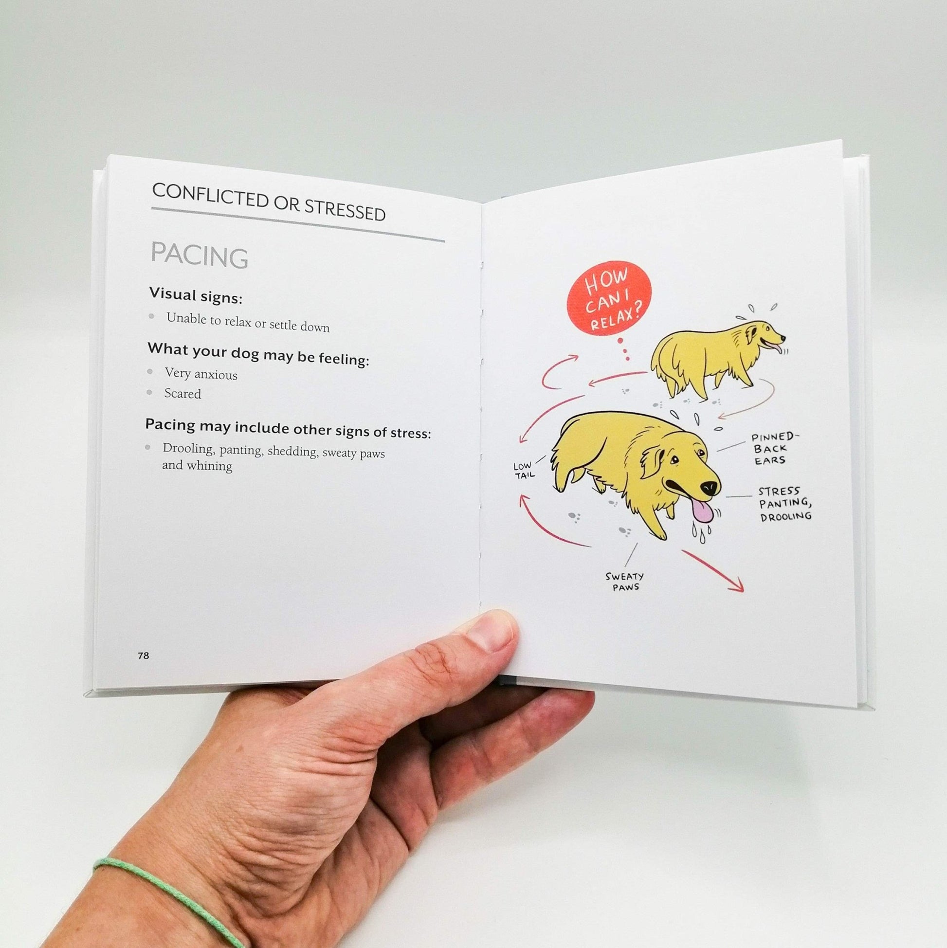 Doggie Language: A Dog Lover's Guide to Understanding Your Best Friend - Fenidog