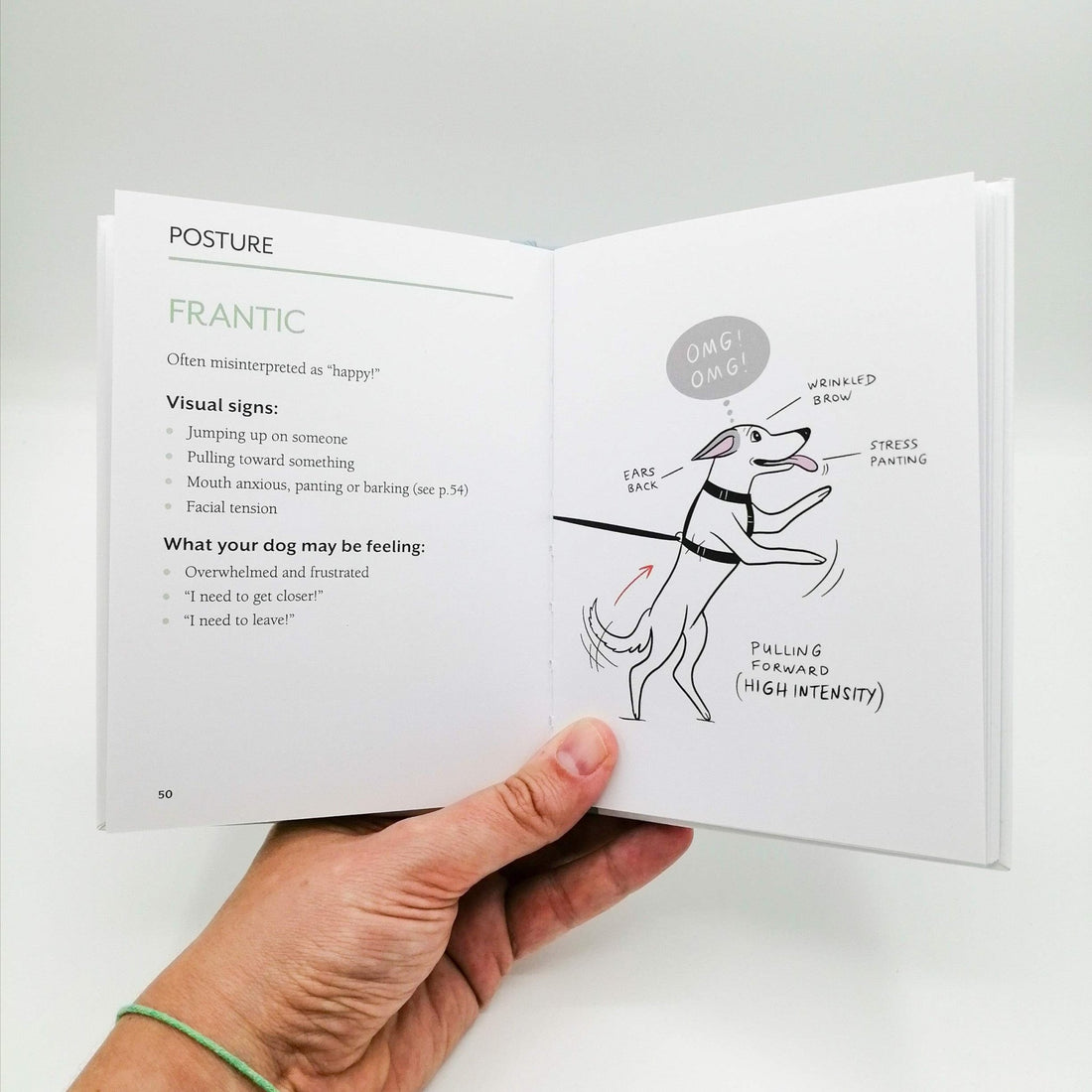 Doggie Language: A Dog Lover's Guide to Understanding Your Best Friend - Fenidog