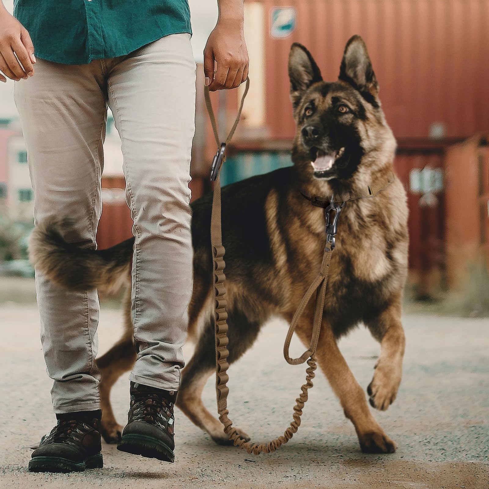 EXCELLENT ELITE SPANKER Tactical Dog Leash – Bungee Lead with Quick Release & Control Handles (Black) - Fenidog