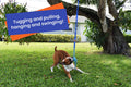 FENIDOG Bungee Hanging Tug Toy – For Indoor & Outdoor Play | Durable, Safe & Fun for All Dogs - Fenidog