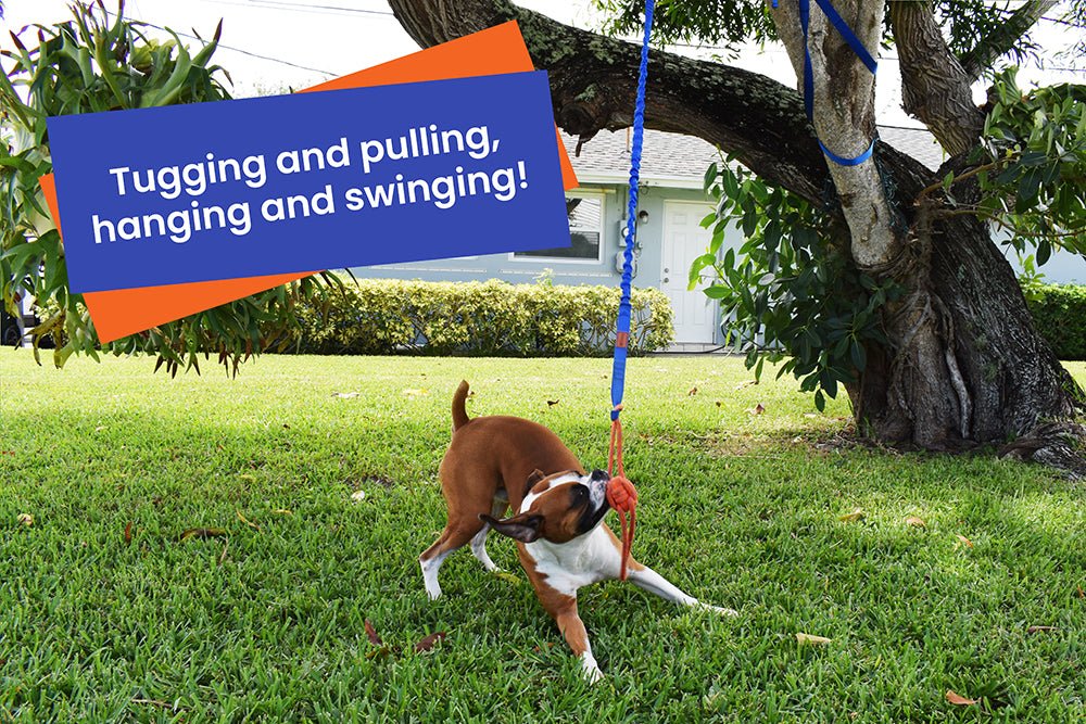 FENIDOG® Hanging Bungee Tug Toy for Dogs | Interactive Solo Play & Tug - of - War Exercise Toy - Fenidog