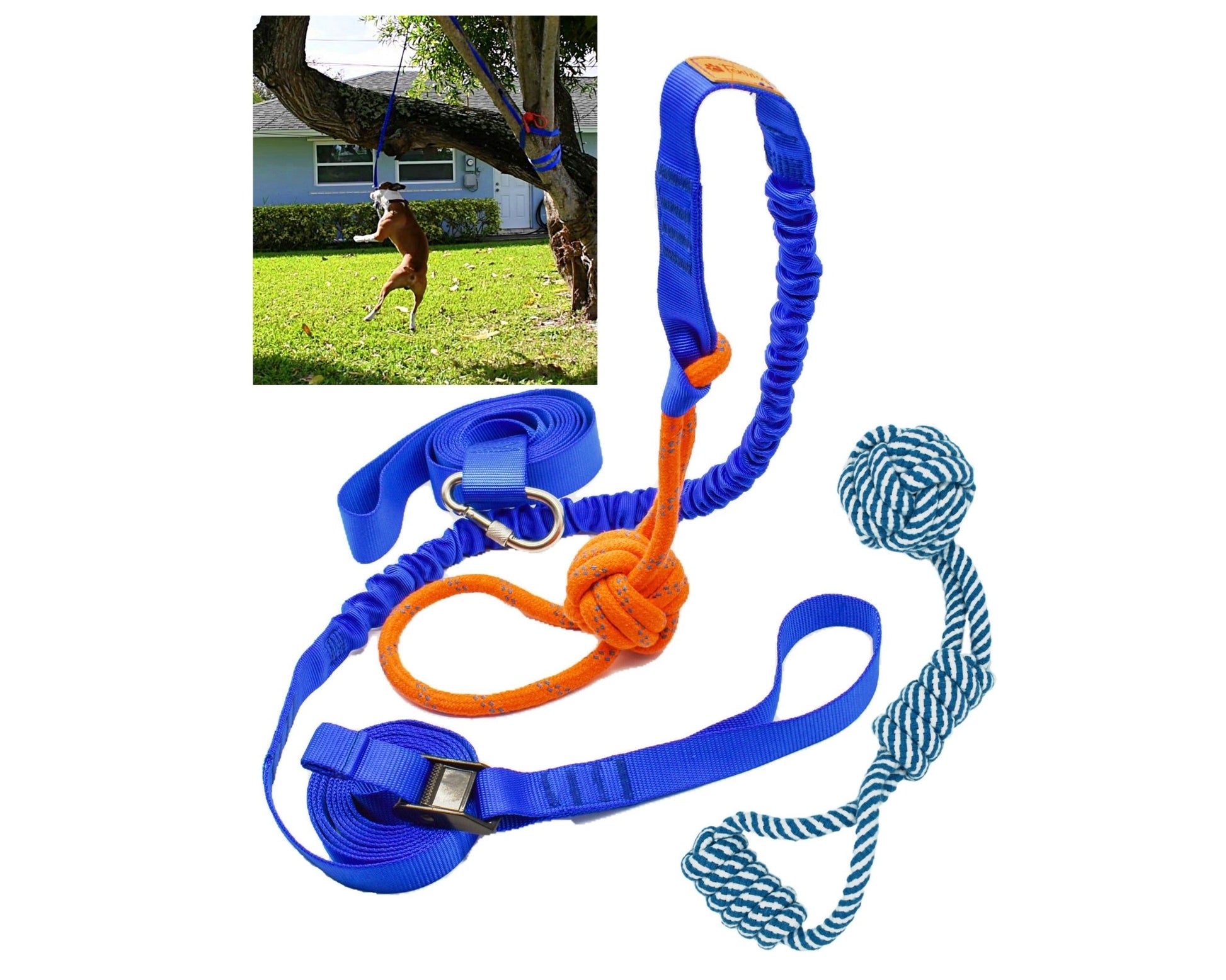 FENIDOG® Hanging Bungee Tug Toy for Dogs | Interactive Solo Play & Tug - of - War Exercise Toy - Fenidog