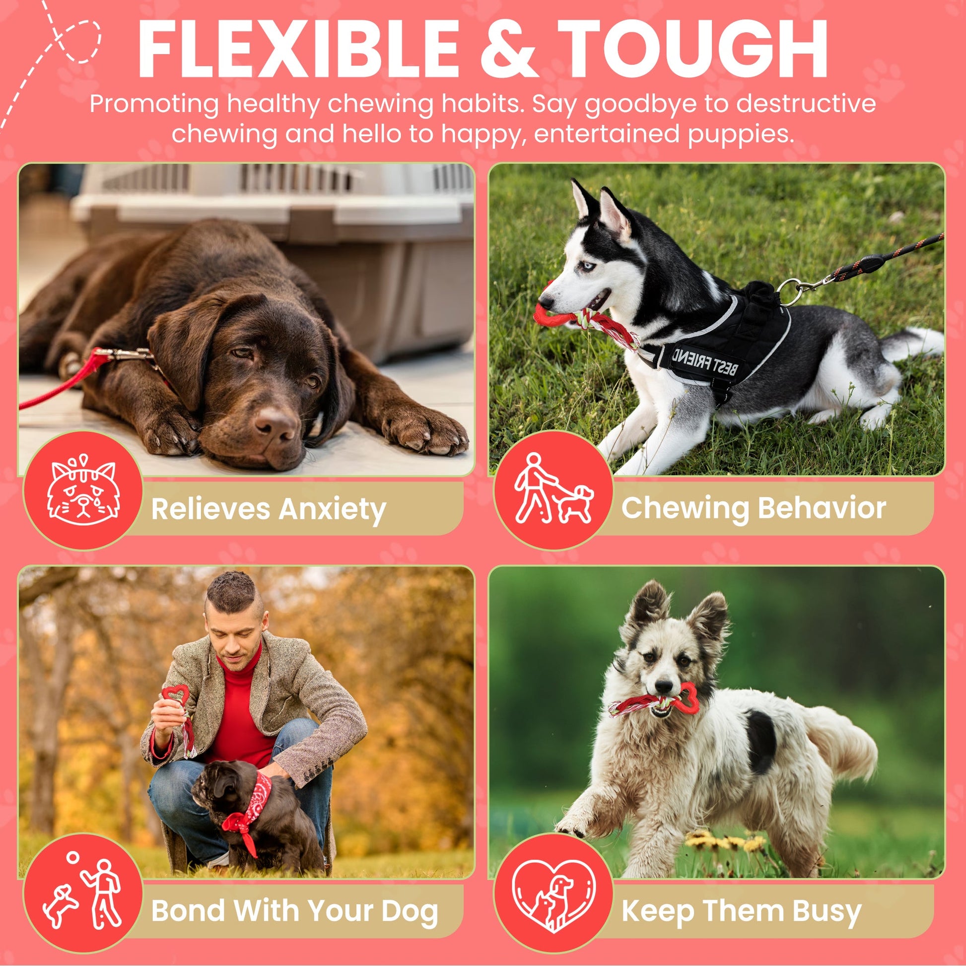 Fenidog Puppy chew toy Grinding - Resistant with rope. Non toxic and natural materials - Fenidog