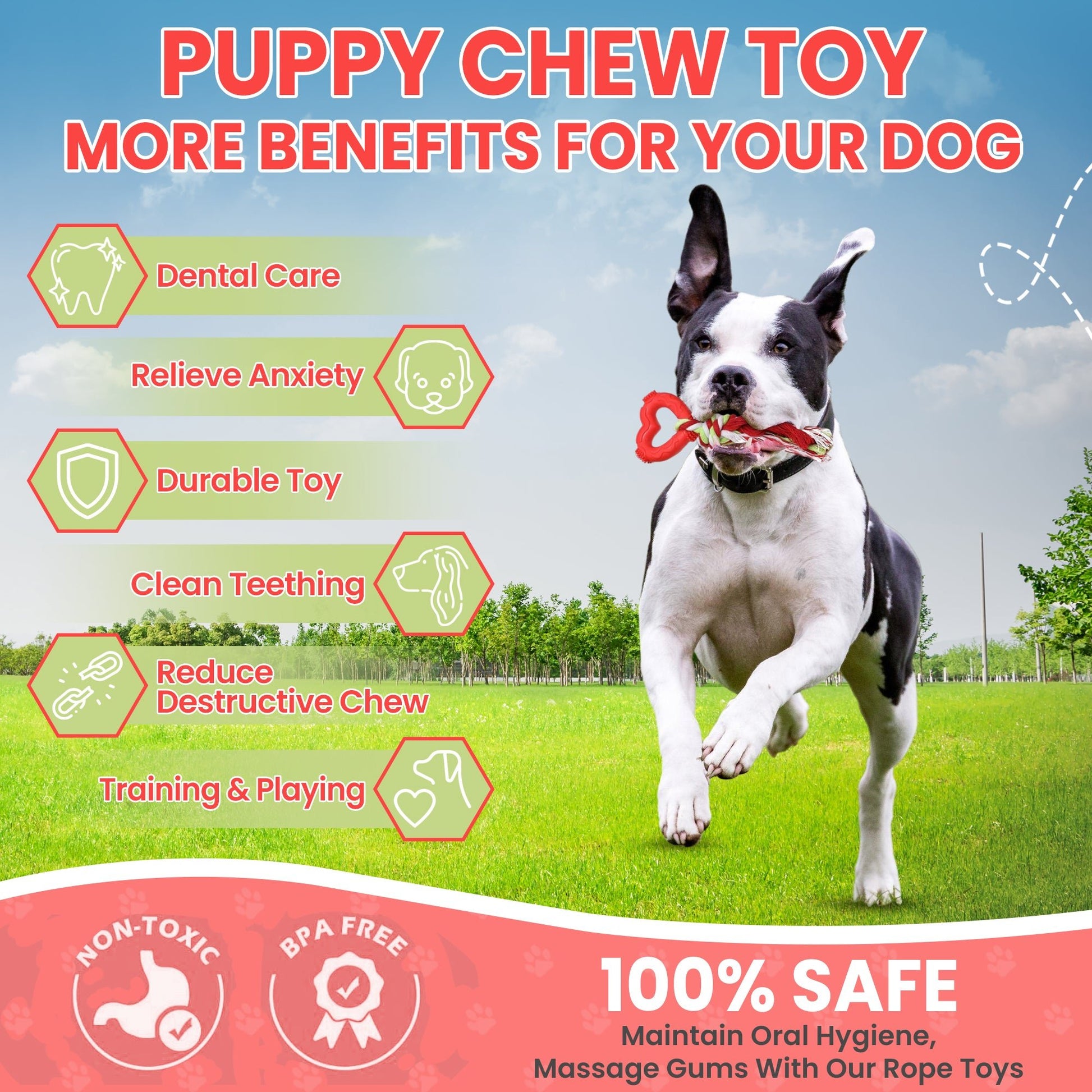 Fenidog Puppy chew toy Grinding - Resistant with rope. Non toxic and natural materials - Fenidog