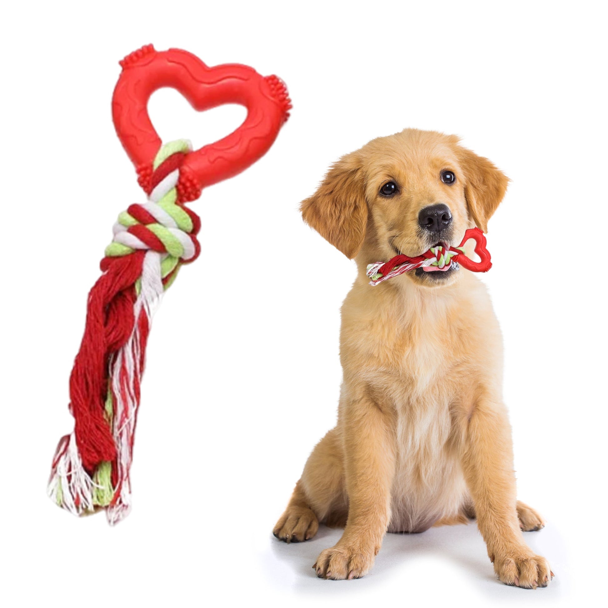 Fenidog Puppy chew toy Grinding - Resistant with rope. Non toxic and natural materials - Fenidog