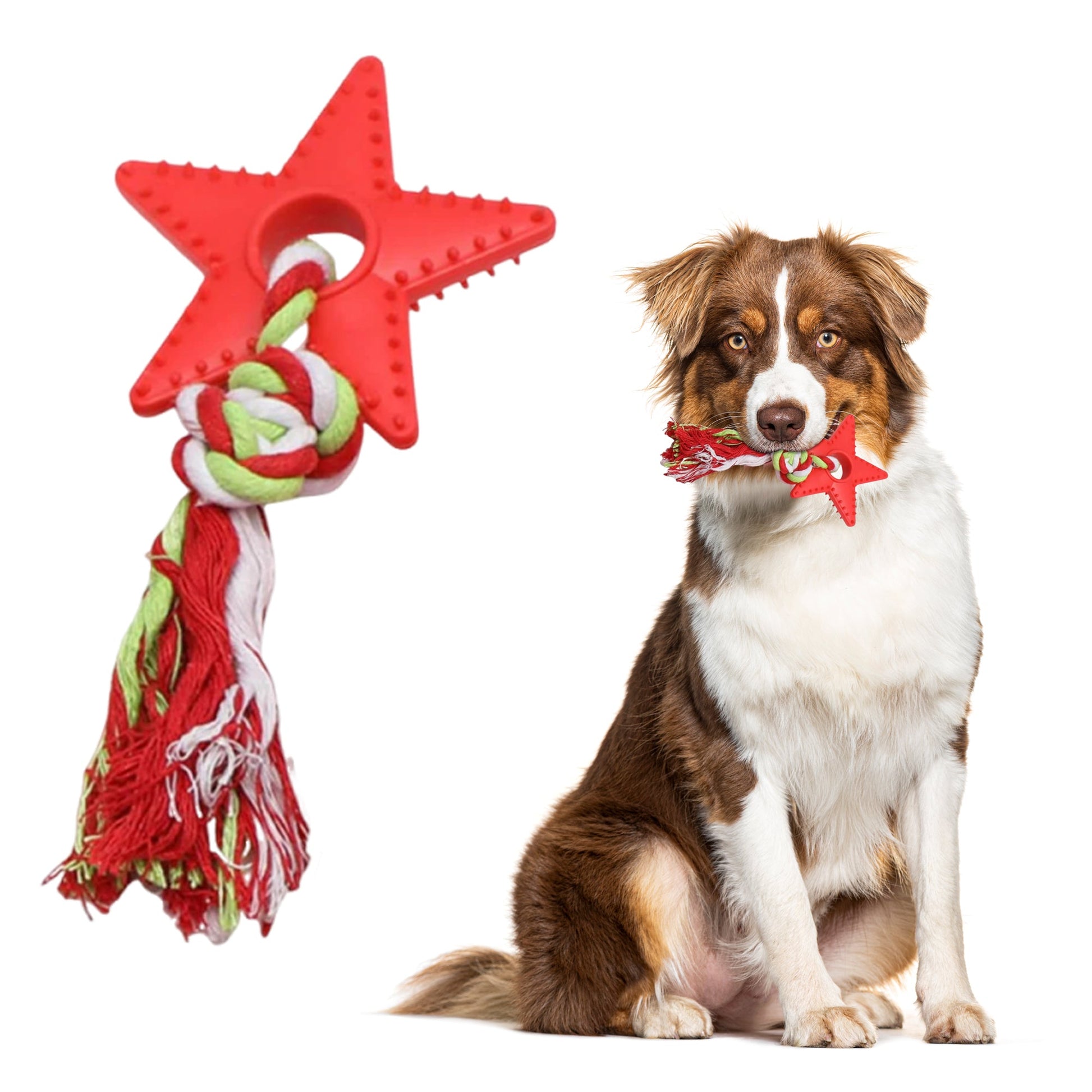FENIDOG Puppy Chew Toy with Rope – Teething Relief, Natural Rubber & Fun Play - Fenidog