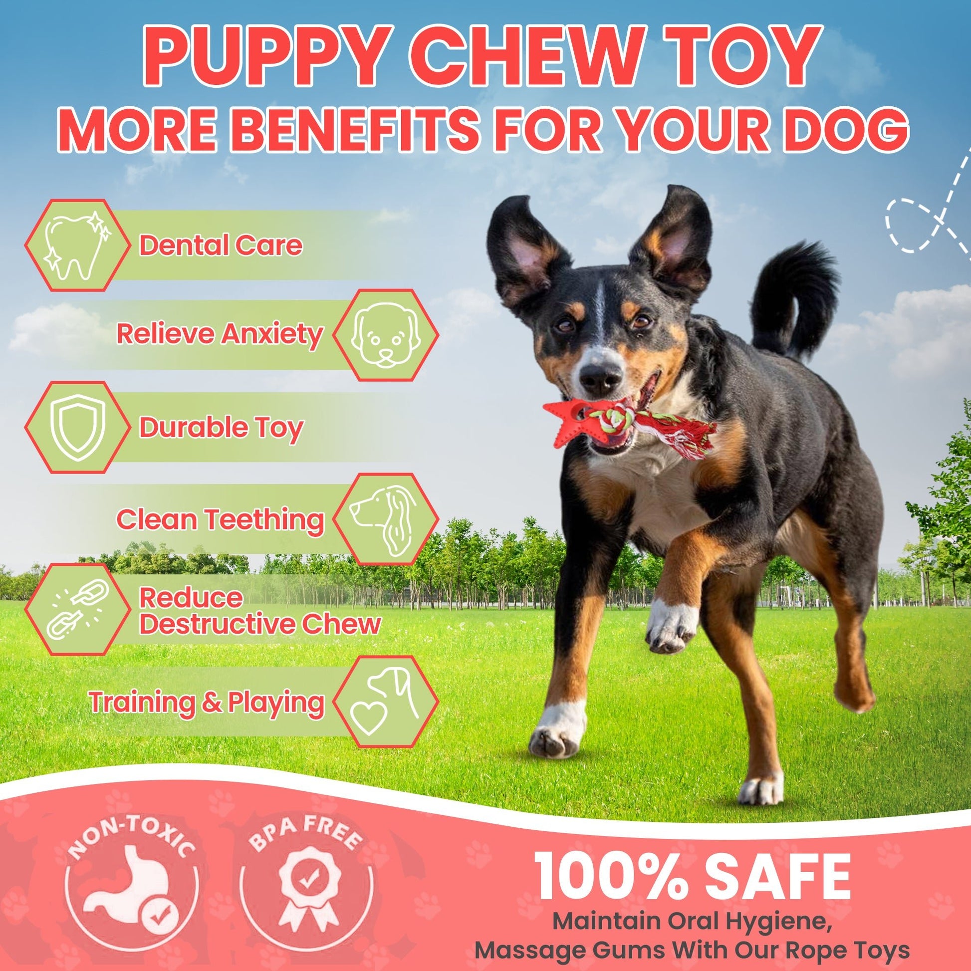 FENIDOG Puppy Chew Toy with Rope – Teething Relief, Natural Rubber & Fun Play - Fenidog