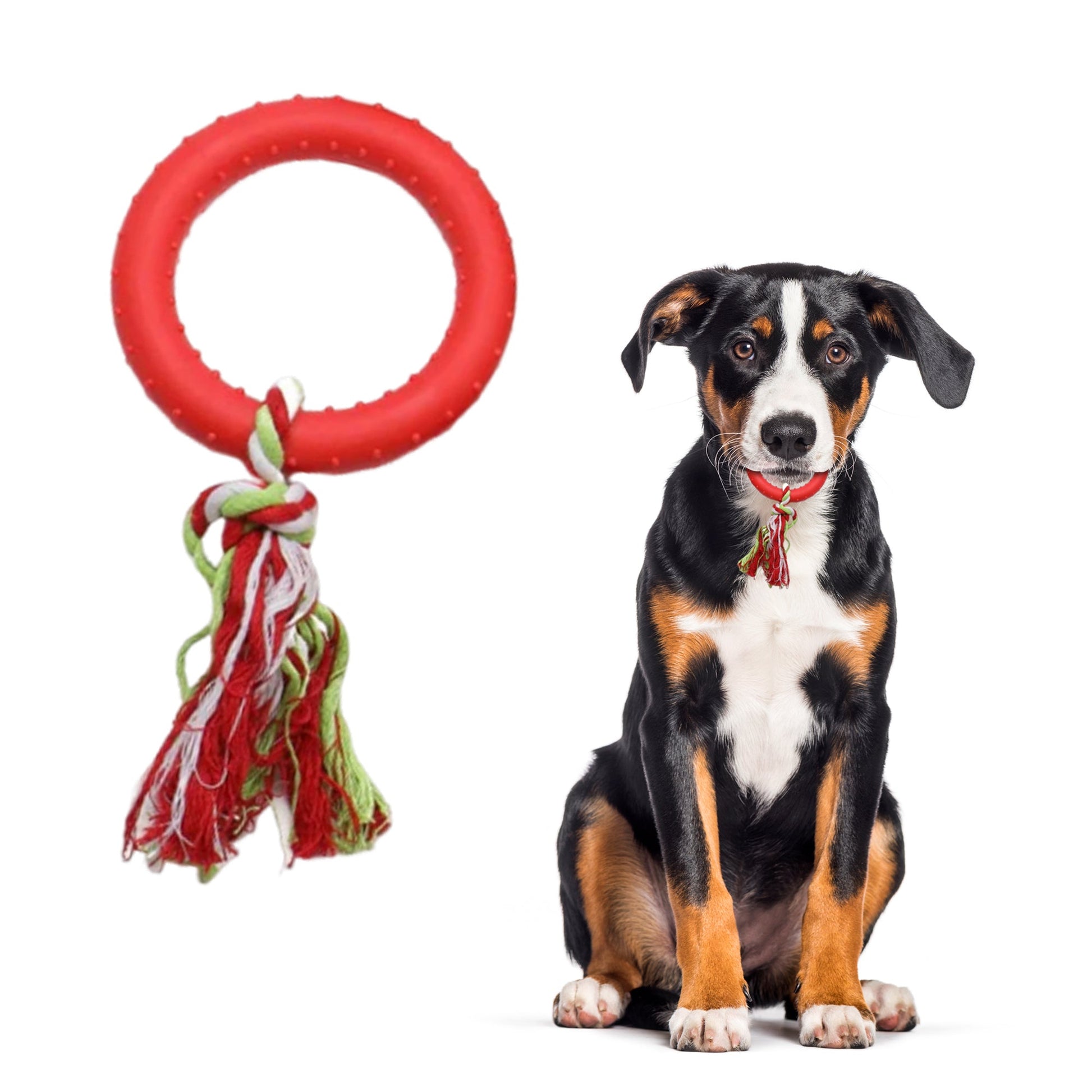 FENIDOG Puppy Chew Toy with Rope – Teething Relief, Natural Rubber & Fun Play - Fenidog