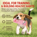 FENIDOG Remote Control Dog Chew Toy – 2 - Pack for Puppies & Small Dogs - Fenidog