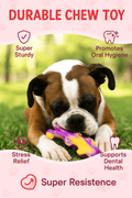 FENIDOG Tough Chew Bones with bacon Flavor – Durable Dog Toys for Aggressive Chewers (Set of 2) - Fenidog