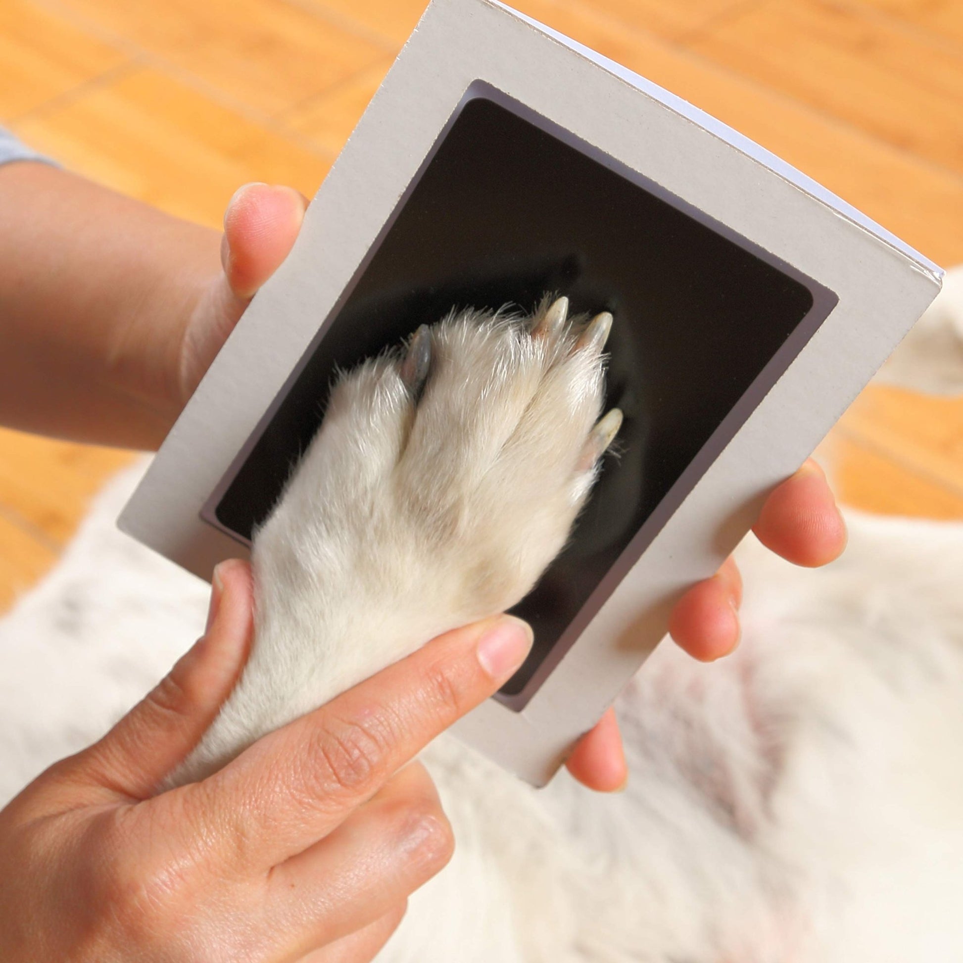 Green Pollywog Paw & Nose Print Kit – No - Mess Ink Pad Keepsake for Dogs & Cats - Fenidog
