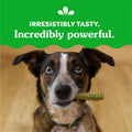 Greenies Original Regular Dental Dog Treats, 36 oz. Pack (36 Treats) - Fenidog