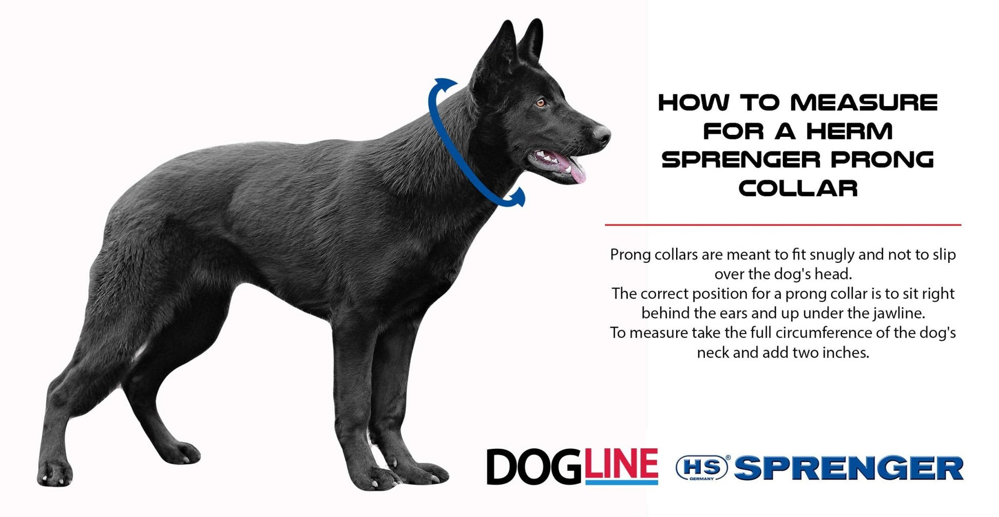 Herm Sprenger Prong Dog Collar – Chrome - Plated Training Collar for Medium Dogs (22” x 3.0mm) - Fenidog