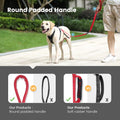 IOKHEIRA Multifunctional Dog Leash – Adjustable 4–6ft Bungee Lead with Built - In Car Seatbelt (Red) - Fenidog