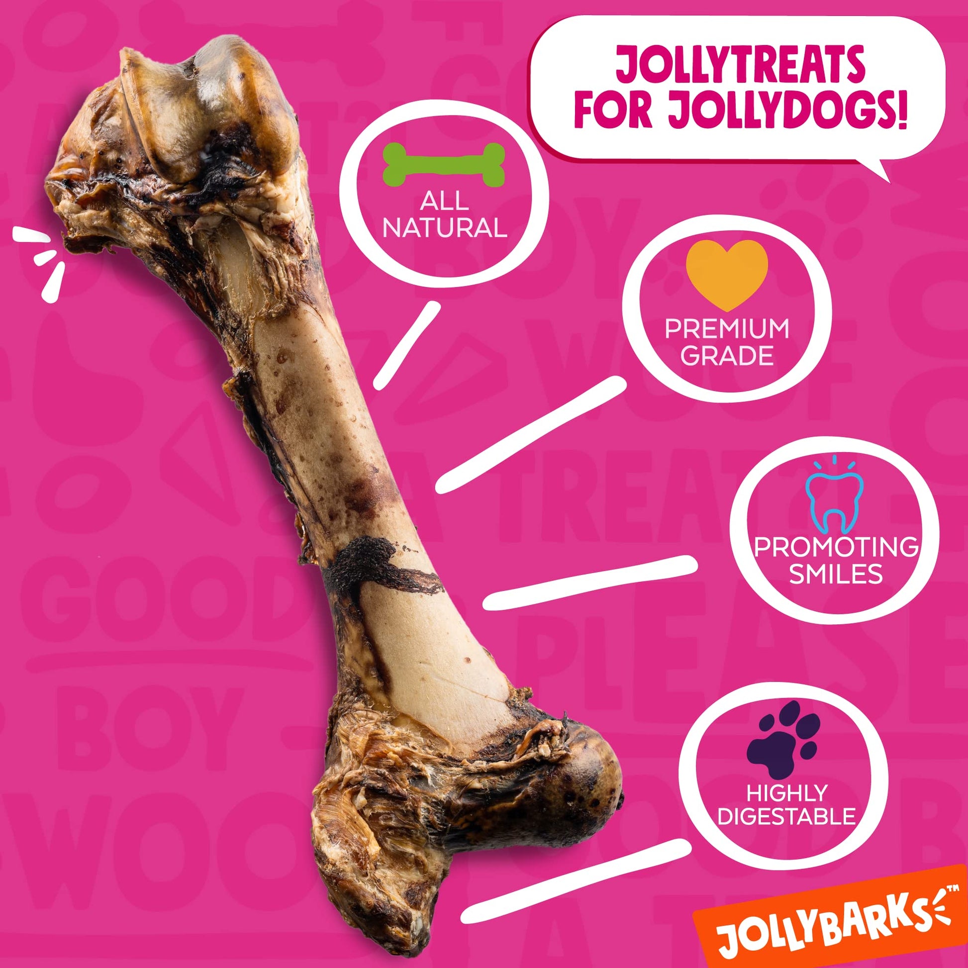 Jolly Barks Mammoth Dog Bone – 16” Smoked Treat for Large Dogs & Chewers (1 - Pack) - Fenidog