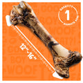 Jolly Barks Mammoth Dog Bone – 16” Smoked Treat for Large Dogs & Chewers (1 - Pack) - Fenidog