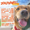 Jolly Barks Mammoth Dog Bone – 16” Smoked Treat for Large Dogs & Chewers (1 - Pack) - Fenidog