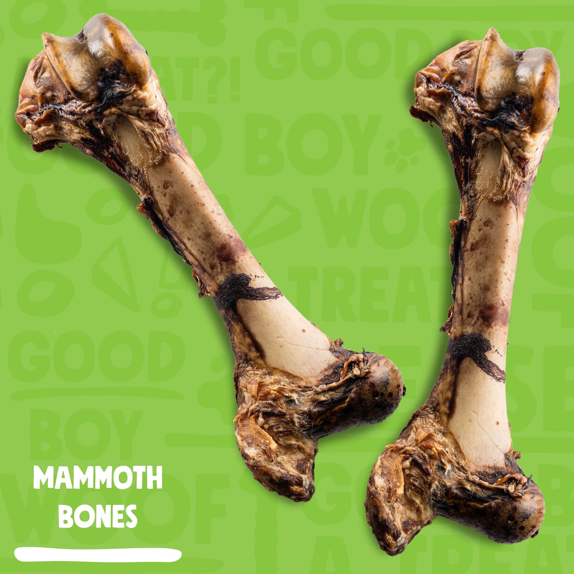 Jolly Barks Mammoth Dog Bone – 16” Smoked Treat for Large Dogs & Chewers (1 - Pack) - Fenidog