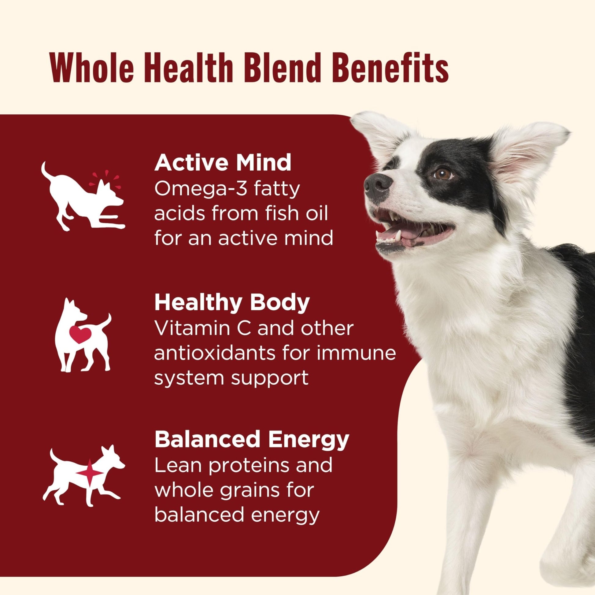 Nutrish Dog Food – 28 lb – Beef, Pea & Brown Rice Whole Health Blend · Real Beef Recipe - Fenidog