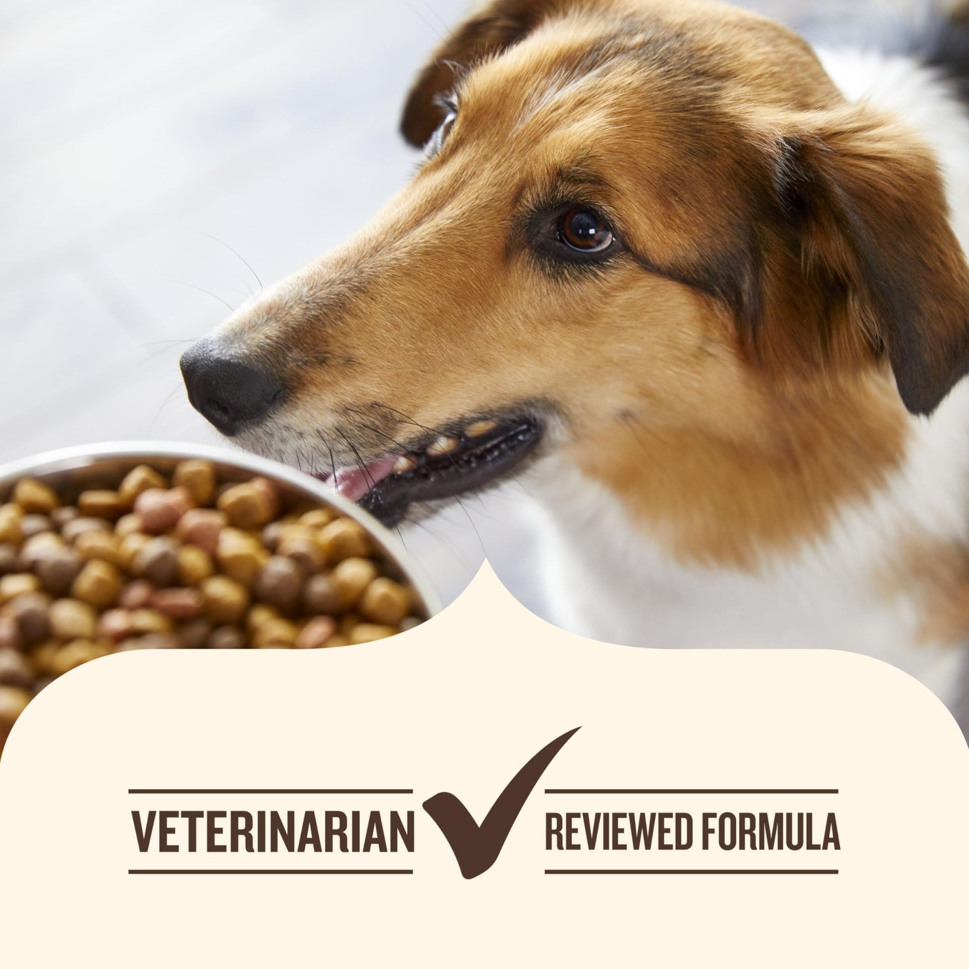 Nutrish Dog Food – 28 lb – Beef, Pea & Brown Rice Whole Health Blend · Real Beef Recipe - Fenidog