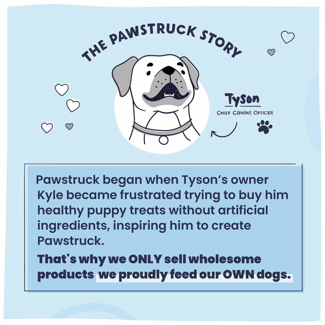 Pawstruck Bully Sticks – 12” · 1 lb Bag All - Natural · Long - Lasting · 100% Real Beef - Fenidog