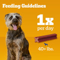 Pedigree Dentastix Large Dog Treats, Bacon Flavor, 2.08 lb. Bag (40 Treats) - Fenidog