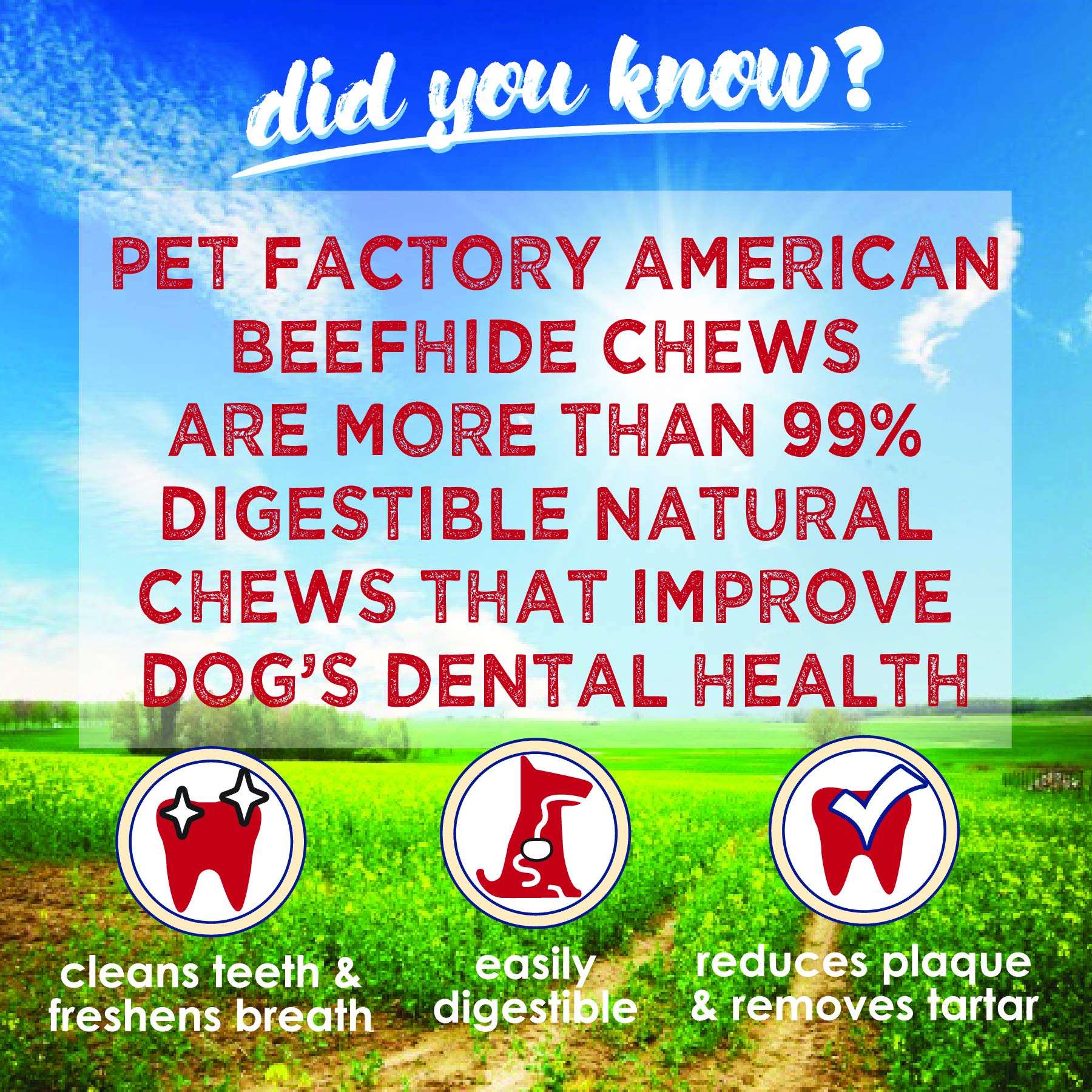 Pet Factory American Beefhide 20 - 22" Knotted Bone Dog Chew Treat - Natural Flavor, 1 Count/1 Pack - Fenidog