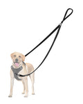 PetBonus Two - Point Control Dog Leash – No - Tangle Reflective Lead for Medium & Large Dogs (Black) - Fenidog