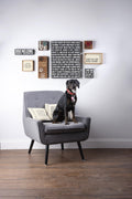 Primitives by Kathy Dog Decor Sign – “Dogs Welcome, People Tolerated” Rustic Wood Gift (5”) - Fenidog
